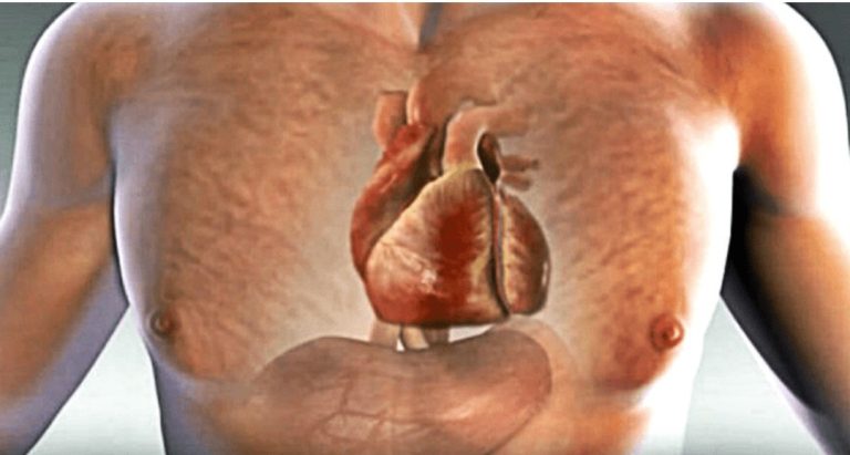 Six Signs Ur Body Will Warn You For Months Before An Heart Attack